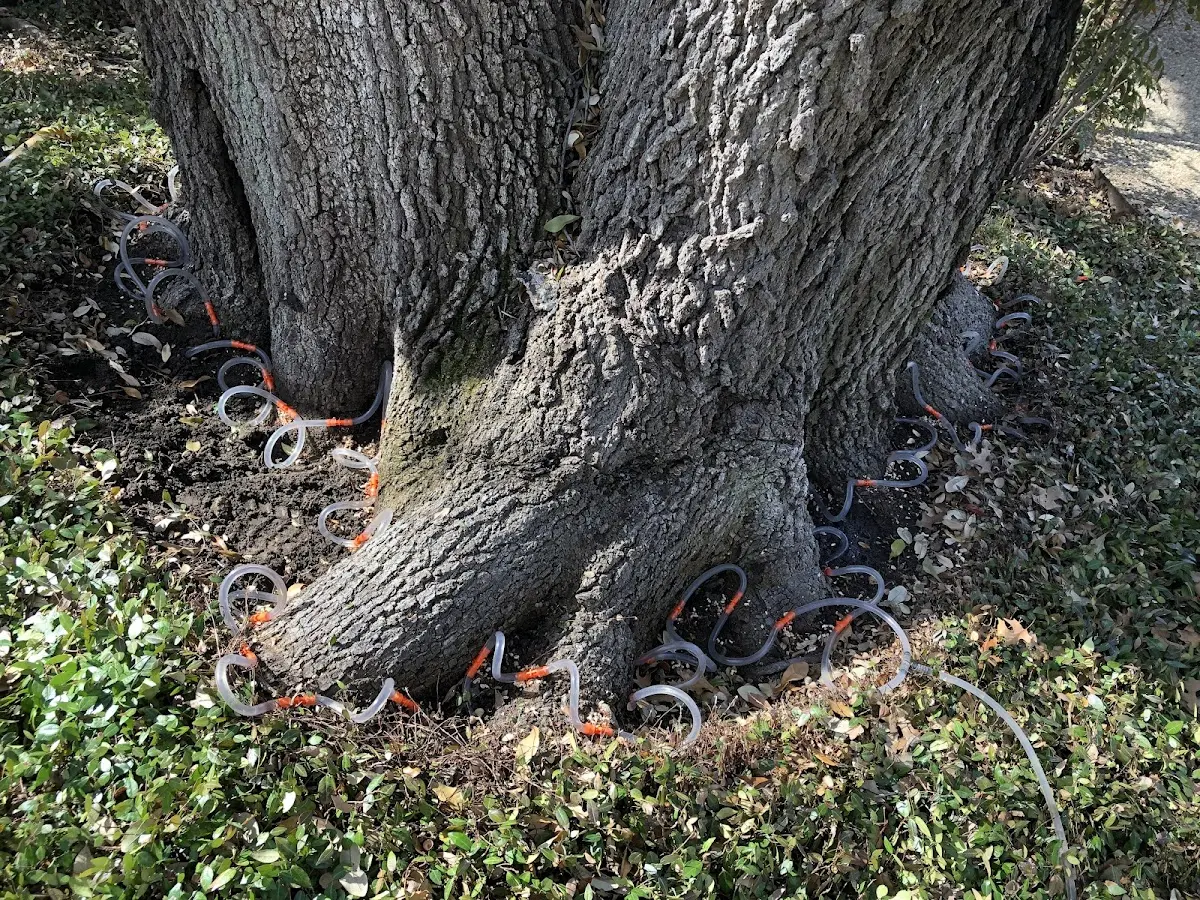 Detailed Shrub and Hedge Trimming job site in Ackerly